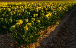 Nieuwsbrief april 2026 Nieuwsbrief april 2026