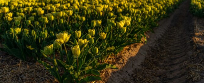 Nieuwsbrief april 2026 Nieuwsbrief april 2026