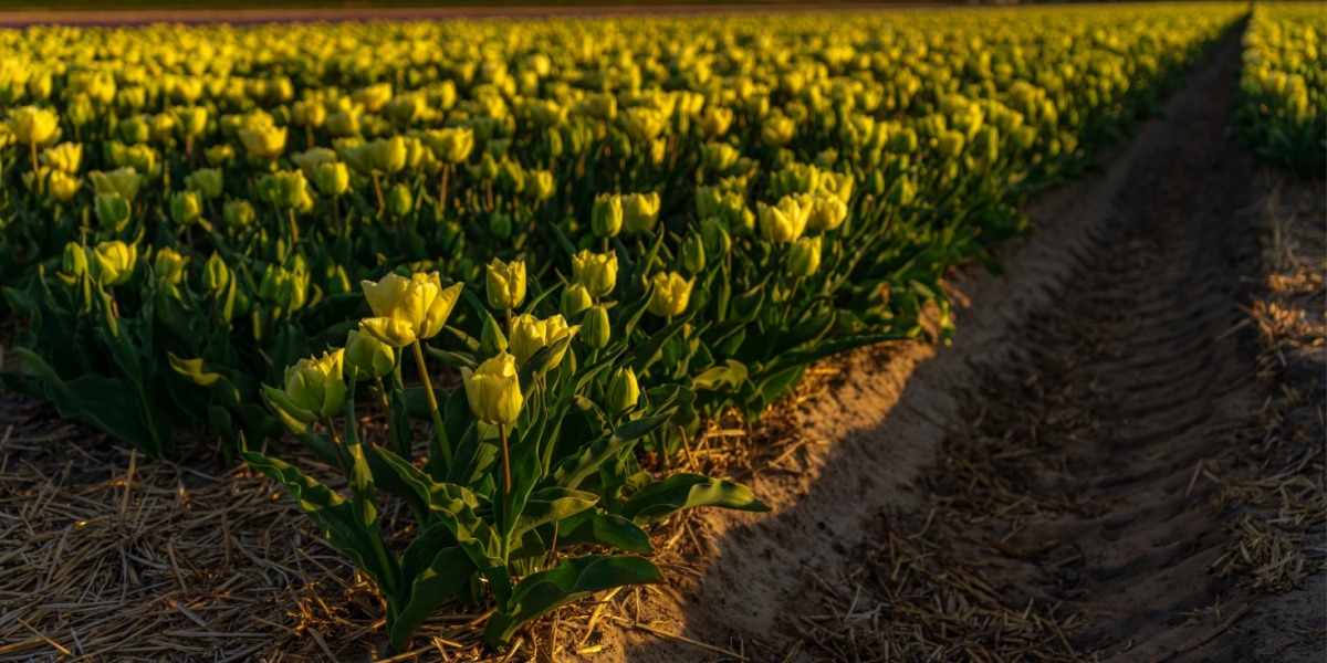 Nieuwsbrief april 2026