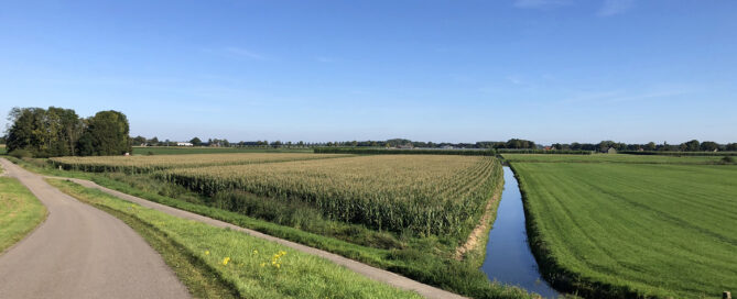 Vanaf 1 juni Subsidieregeling extensivering melkveehouderij Vanaf 1 juni Subsidieregeling extensivering melkveehouderij