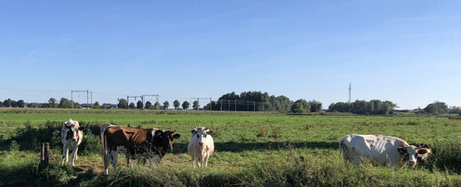 Lagere WOZ-waarde voor PAS-melder Lagere WOZ-waarde voor PAS-melder