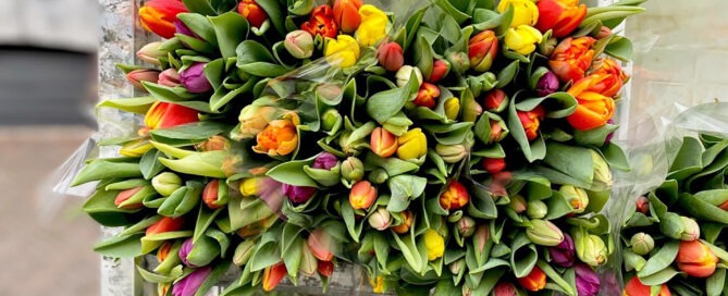 Bloemen voor nieuwe werknemer belast? Bloemen voor nieuwe werknemer belast?