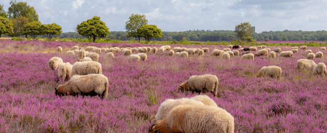Nieuwsbrief oktober 2026 Nieuwsbrief oktober 2026